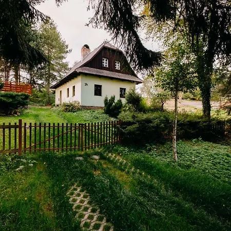 Wellness Marta 3* Sněžné
